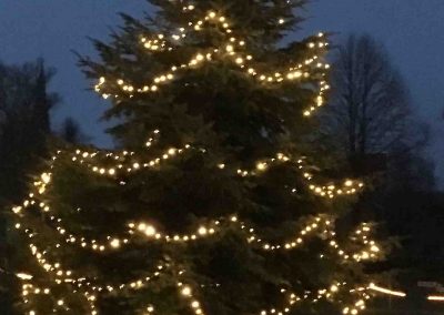 Pronstorfer Weihnacht Weihnachtsbaum