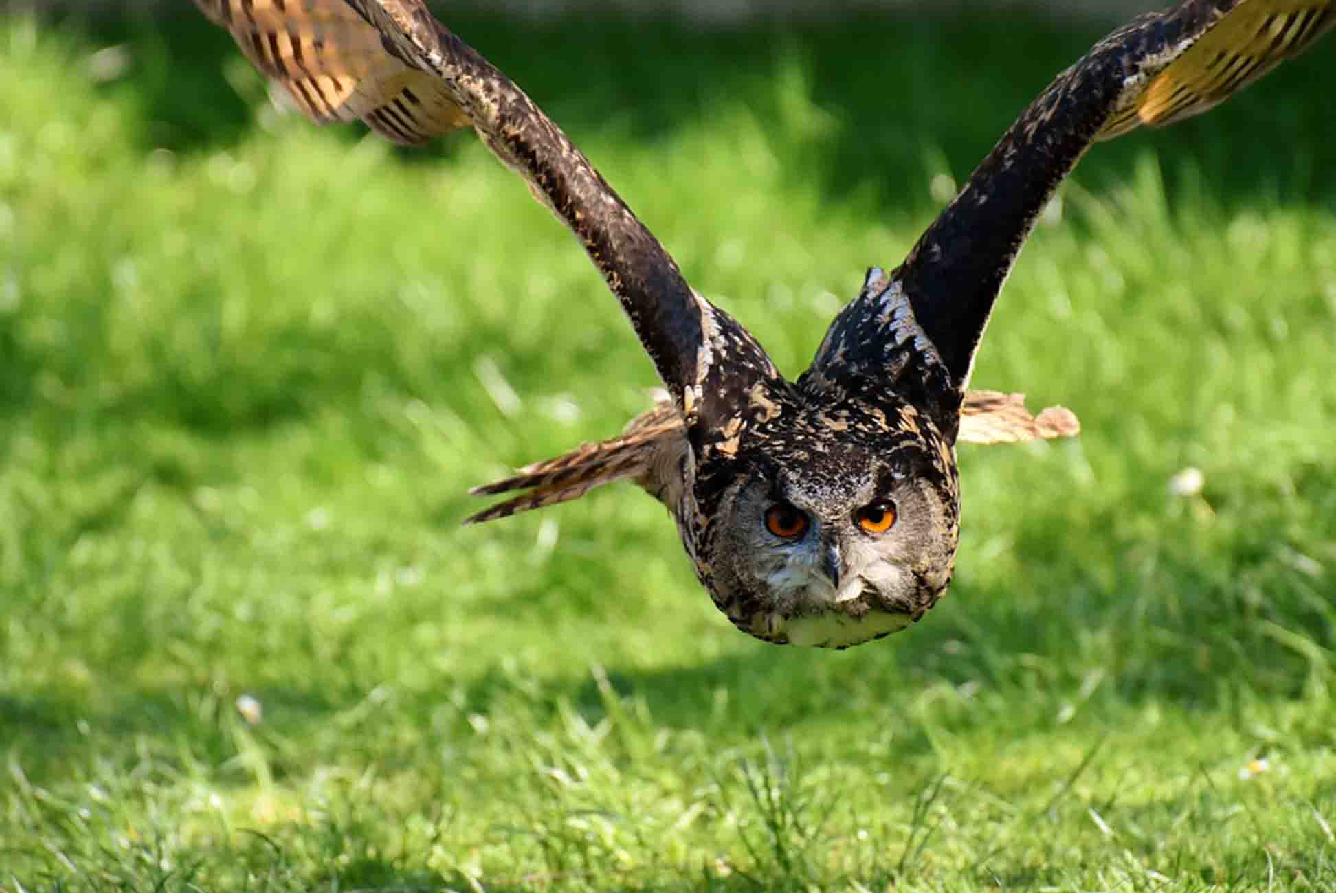 Wildpark Eekholt