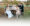 heiraten auf gut pronstorf schleswig holstein