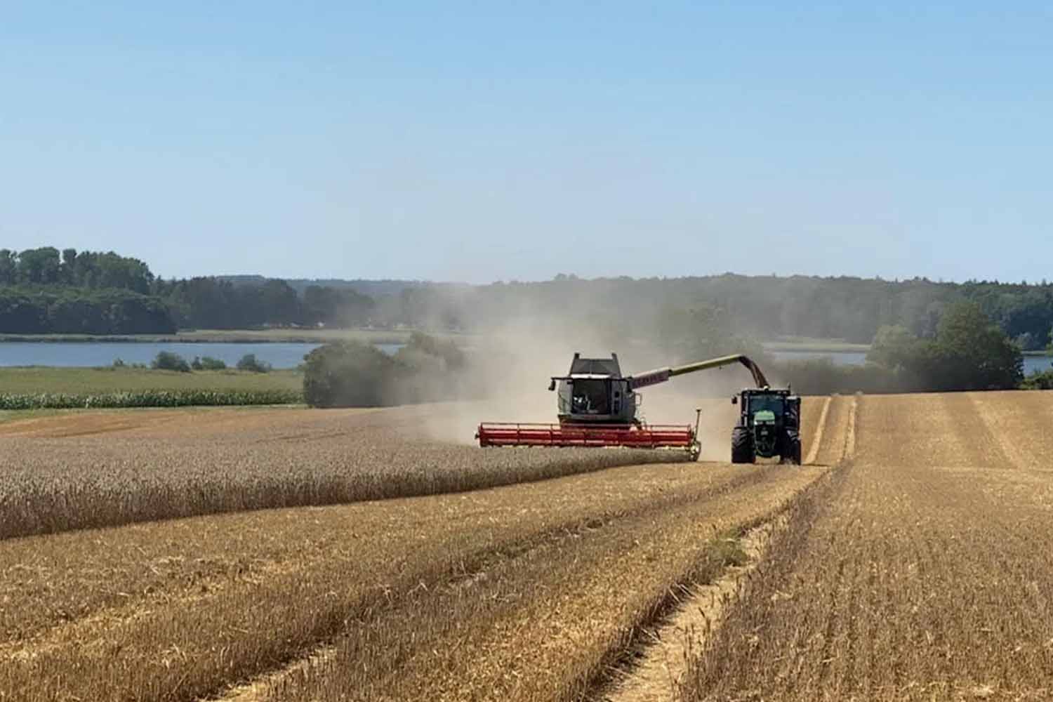 Mähdrescher und Traktor bei der Getreideernte auf Gut Pronstorf